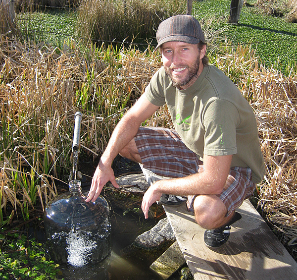 david wolfe dragon spring tea david wolfe dragon spring tea