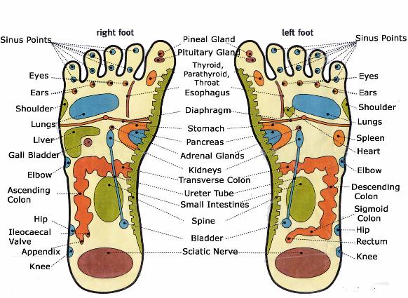 foot_reflexology_chart