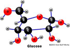 enzyme-photo-3