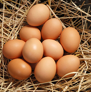 eggs-health-benefits