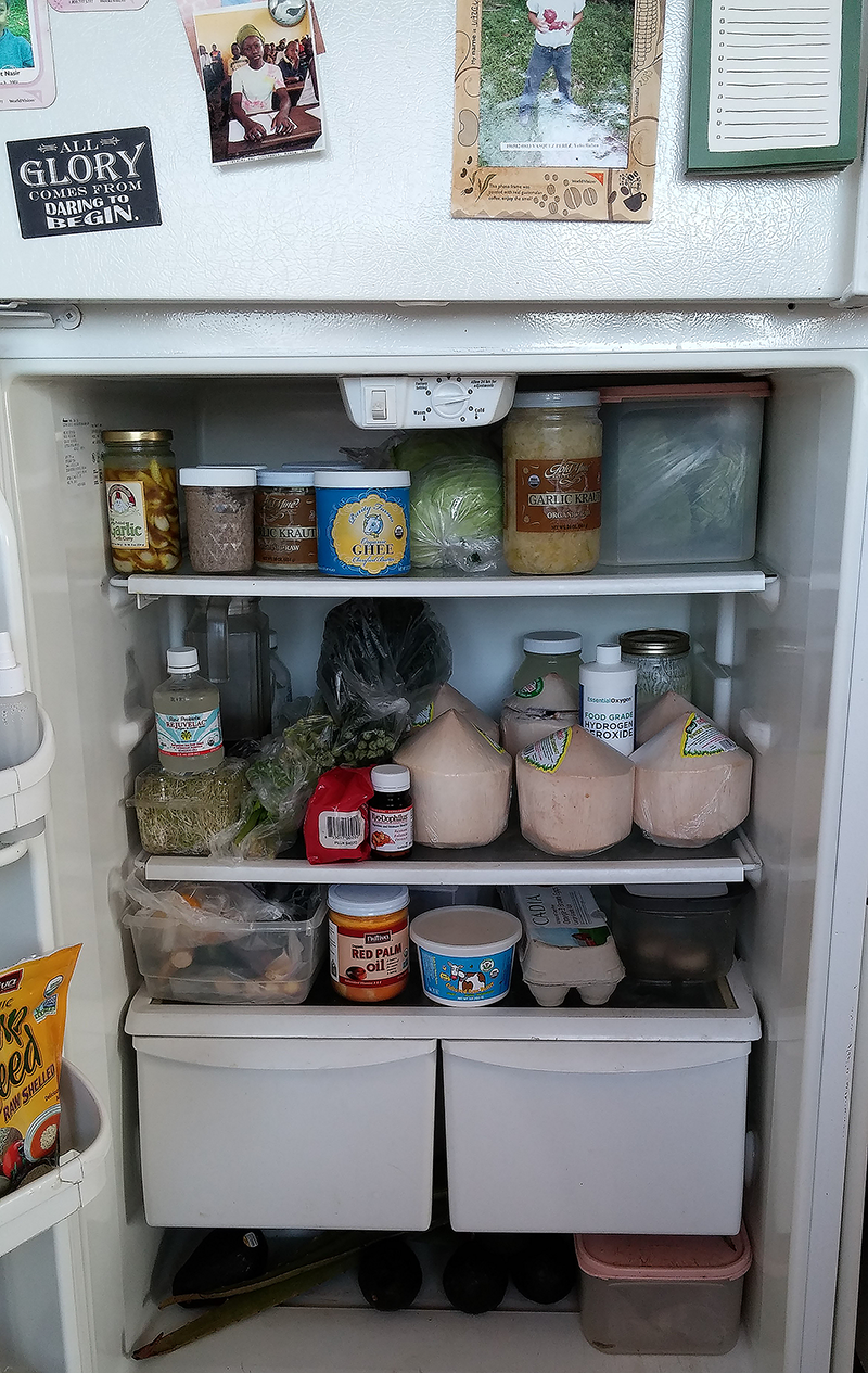 our-refrigerator-food-1