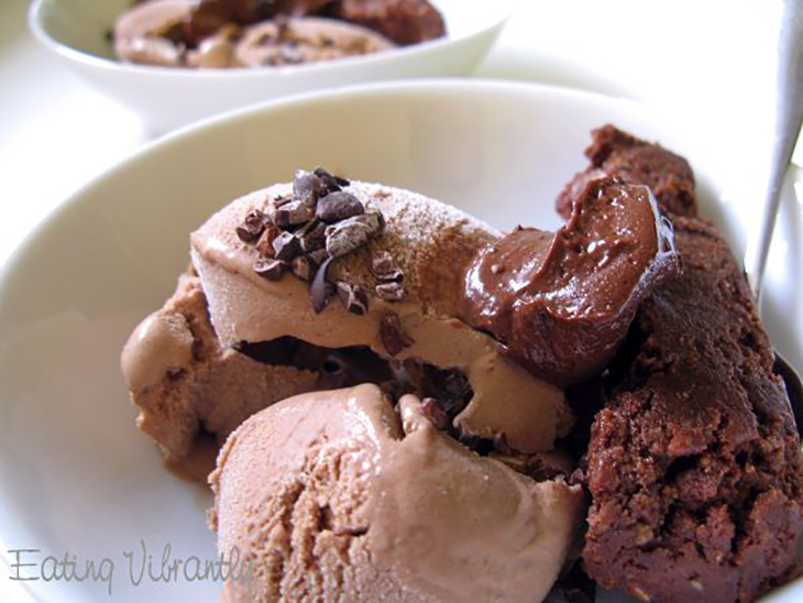vegan-chocolate-coconut-ice-cream-fudge_600x450