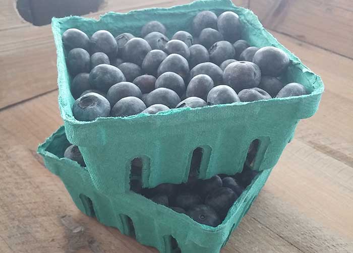 blueberries-blog-post
