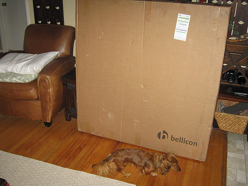 Bellicon-IMG_1952