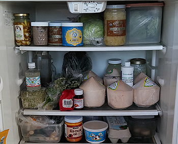 our-refridgerator-featured-image
