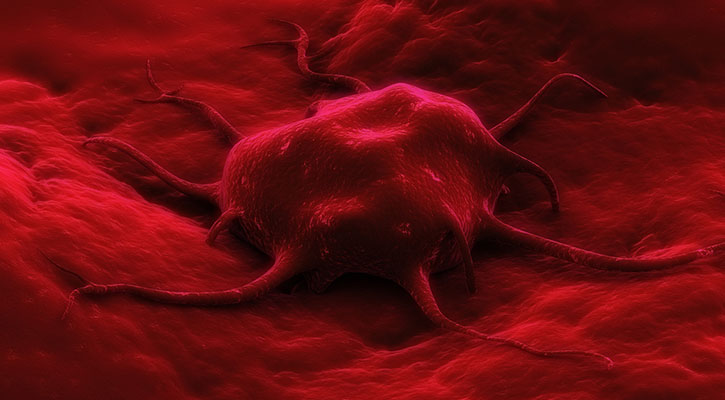 ca19-9-kates-blood-test