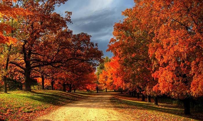 fall-crisp-air-seasons-changing