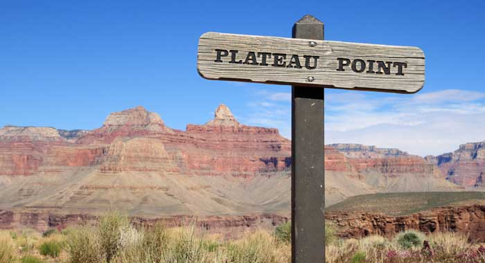 gut-healing-plateau