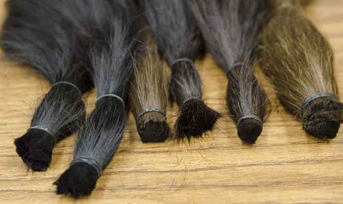 locks-of-love-cancer-foundation