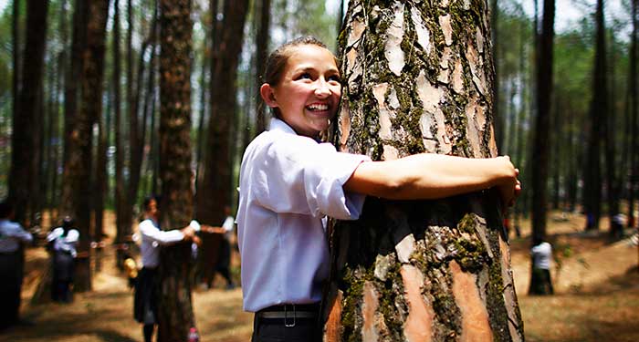 people-hugging-trees