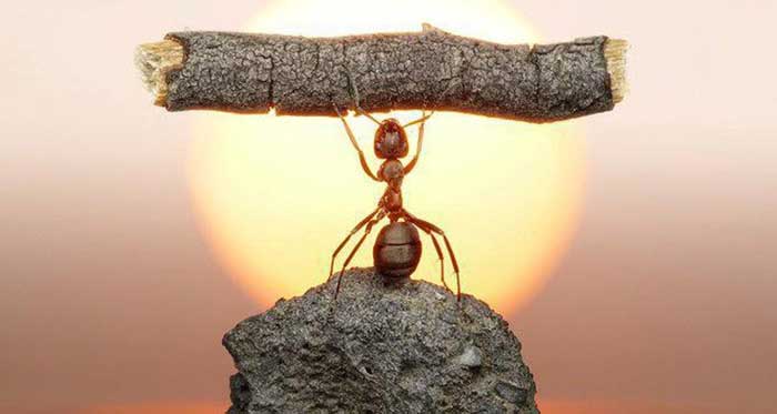Nothing-is-impossible