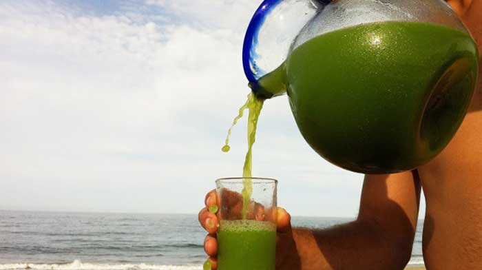 green-juice-bone-broth-cleanse