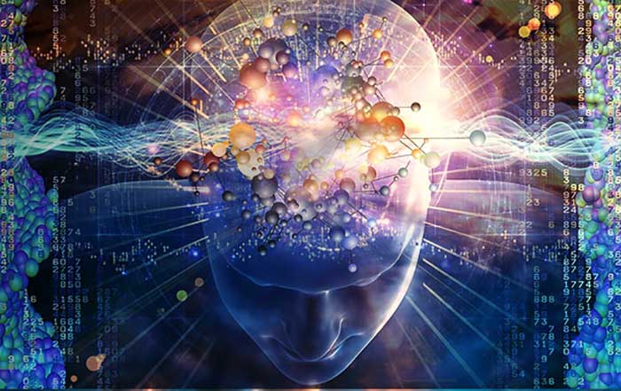 brain-wave-fields